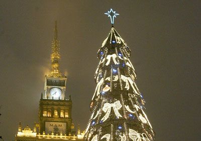 A 72-meter high Christmas tree is seen in central Warsaw in December 2005, next to the 230-meter high Palace of Culture.