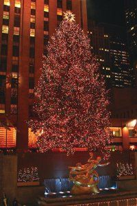 Christmas tree at Rockefeller Center