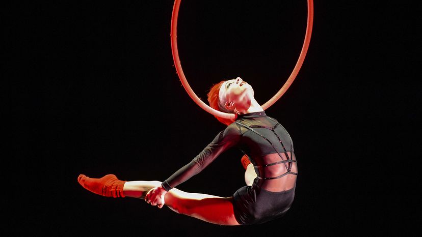 Aerial act in circus