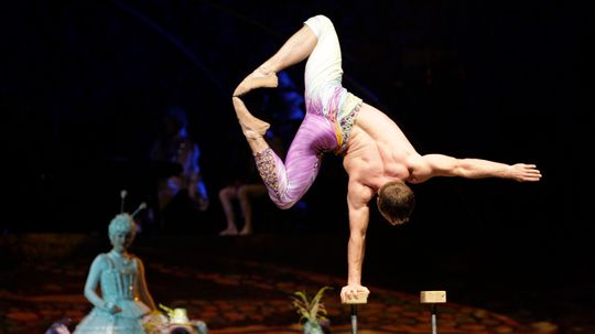 Do circus performers have special insurance?