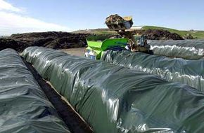 Image Gallery: Green Living Large composting facilities care for maturing compost in long fabric tubes called windrows. See more green living pictures.
