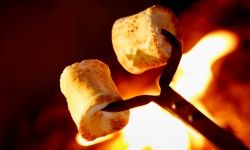 Marshmallows over open fire