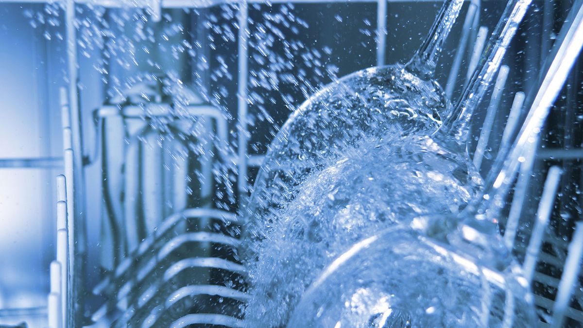 Dishwashers Need Cleaning Too! HowStuffWorks