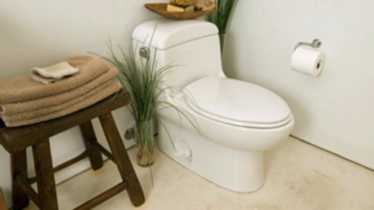 Should you clean your toilet for your plumber?