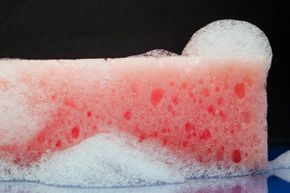 Your kitchen sponge may not be as clean as you think it is.