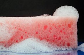 Your Kitchen Sponge Is Filthy — And Microwaving It Won't Help