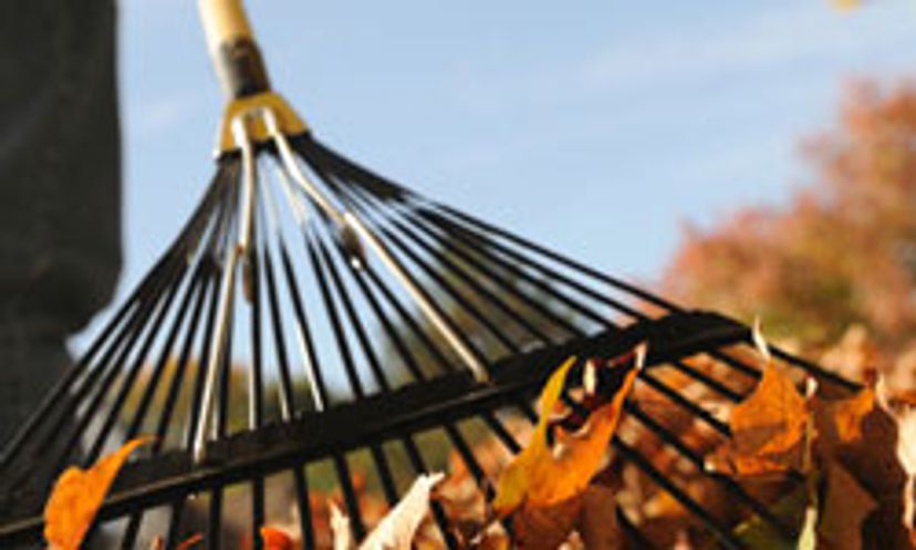 The Ultimate Cleaning Outdoors for Fall Quiz