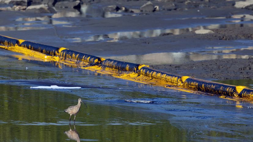 oil spill off the coast of California