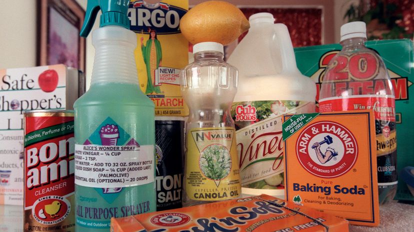 Cleaning Vinegar vs. White Vinegar: Uses Around the House