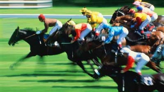 你能偷几从一匹赛马和克隆自己的头发吗?”width=