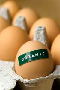 The National Organic Program's criteria for organic certification exclude products from cloned animals and their offspring.