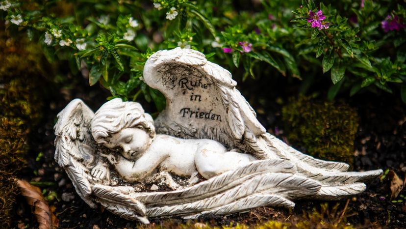 Close-up of an angel statue&nbsp;
