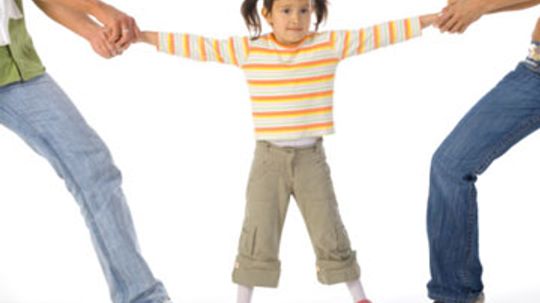 What are my co-parenting rights?