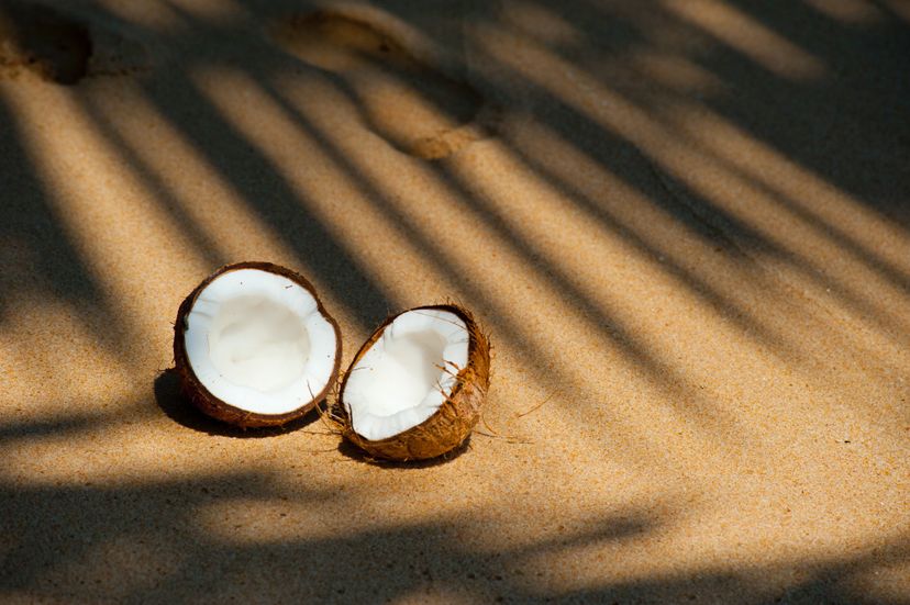 coconuts on the sand