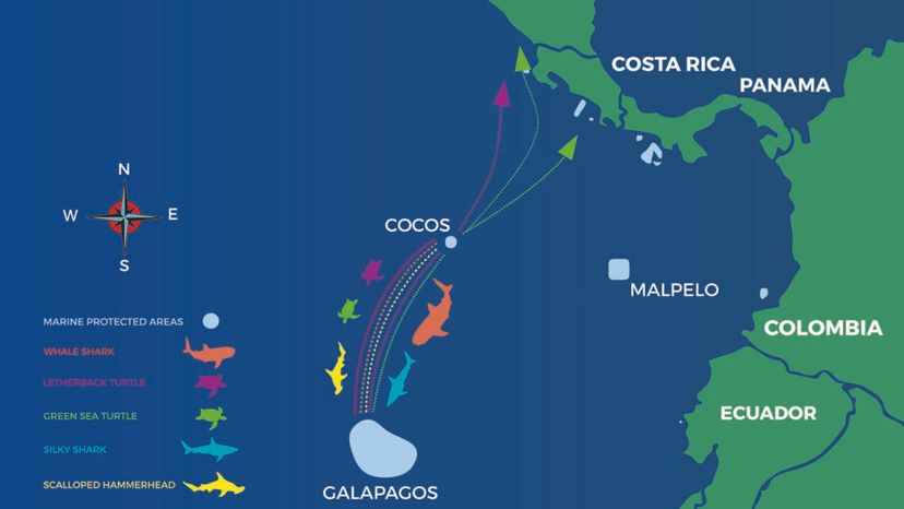 map of&nbsp;Cocos-Galapagos Swimway
