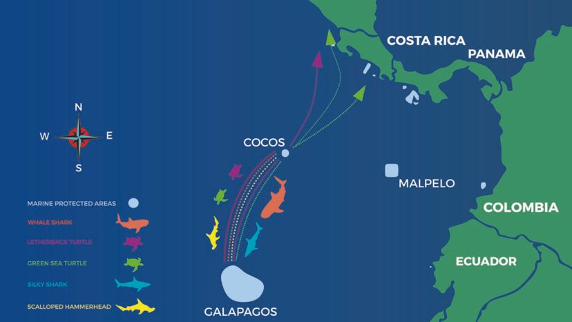 map of Cocos-Galapagos Swimway”border=