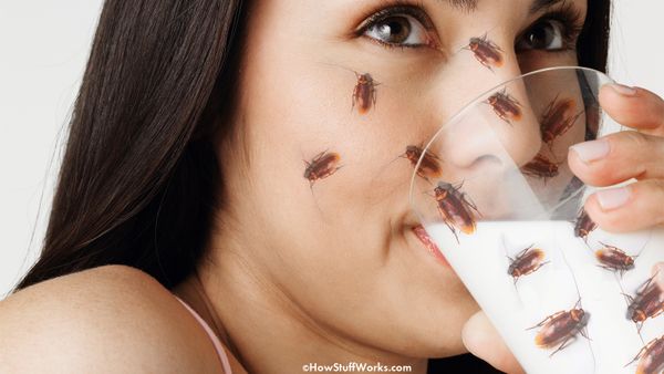 Women close up with insect for hygiene.
