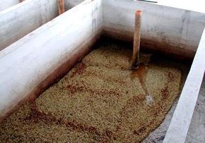 After floating in fermentation tanks for awhile, the beans are dried either in the sun or mechanically.