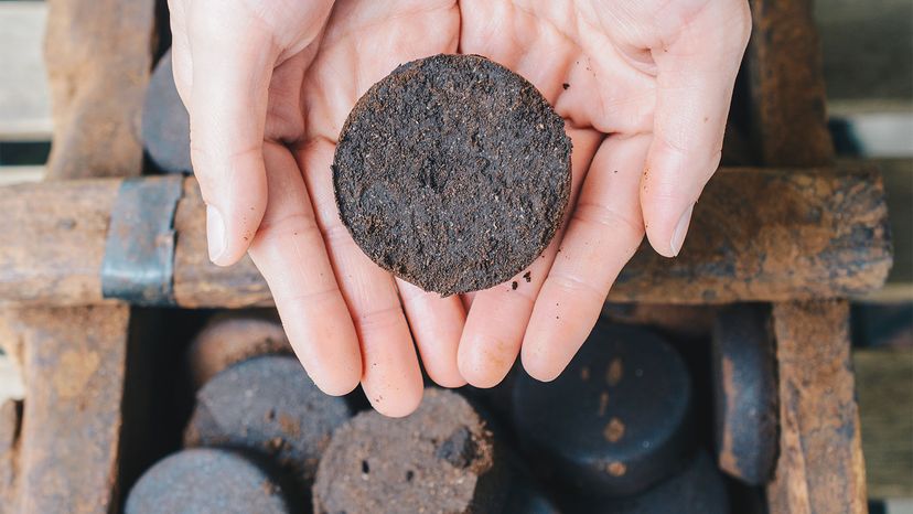 coffee for plants	