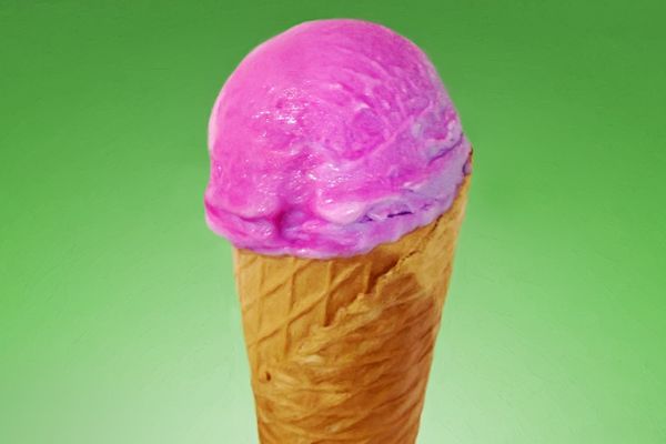 Xameleon ice cream