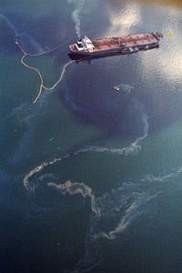 埃克森·瓦尔迪兹号油轮泄漏的原油造成了巨大的环境破坏。＂width=