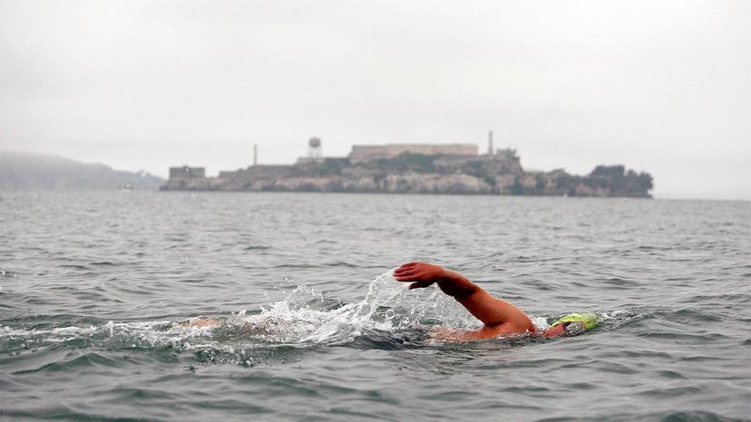 open water swimmer San Francisco Bay