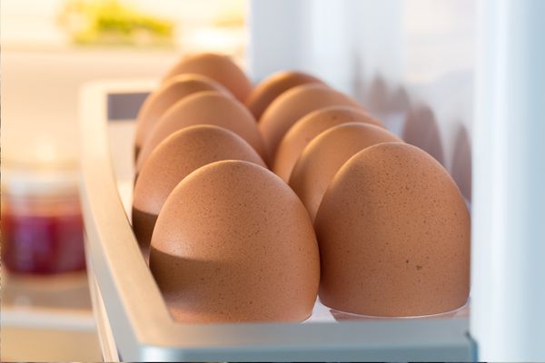 eggs in the fridge door