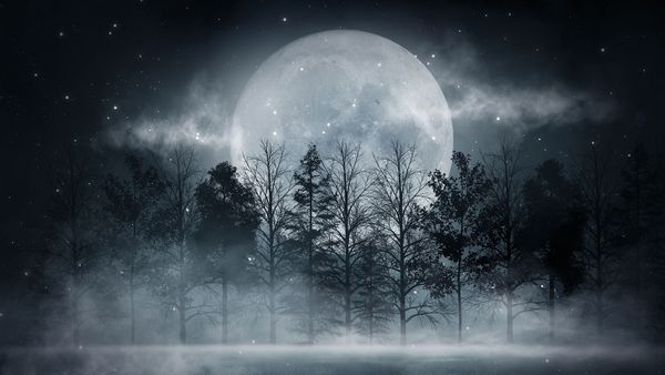 December Is the Time to See the Cold Cold Moon