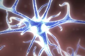 An artist's rendering of a nerve cell. Researchers from University of Manchester believe HSV1 travels to the nerve cells of the brain as we age and alter the brain's waste removal capabilities.