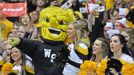 The Best, the Worst and the Weirdest College Mascots (and Why We Love Them)