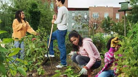 How to Start a Community Garden