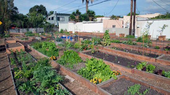 社区花园是好邻居”class=