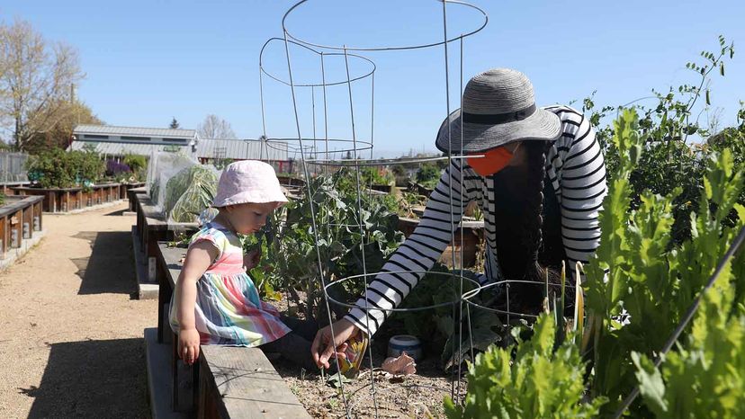 Community Garden