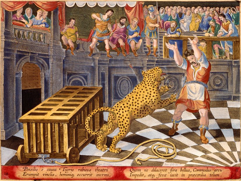 Commodus fires an arrow to subdue a leopard
