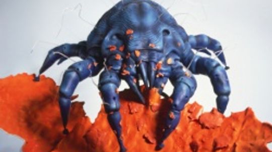 房子尘埃不利于过敏吗?”width=