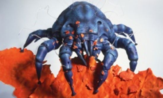 室内灰尘对过敏有害吗?＂class=