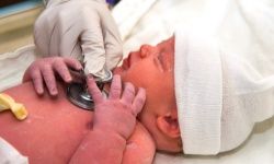 newborn examination