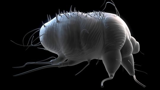 10 Common Hospital-acquired Infections