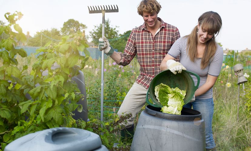 The Ultimate Composting Quiz