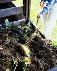 堆肥堆可以在菜园中提供许多用途。查看更多堆肥的图片。＂width=