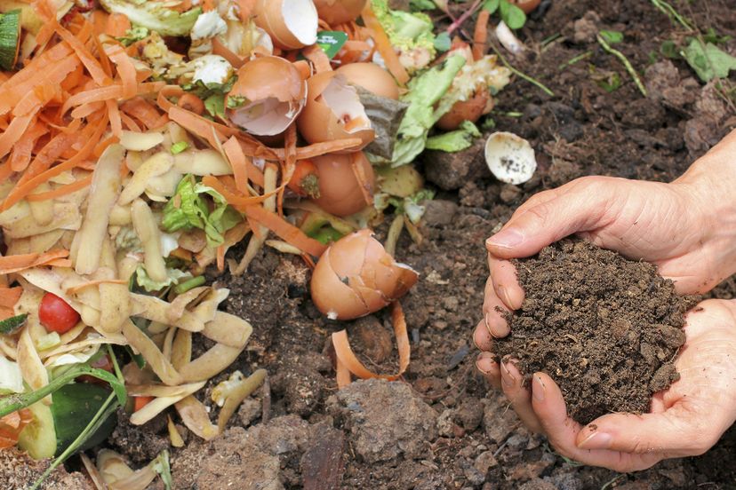 Fact or Fiction: Composting