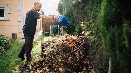 What Is Compost? How to Start Composting at Home