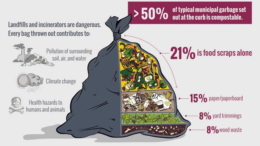 A diagram detailing the percentage breakdown of municipal waste.