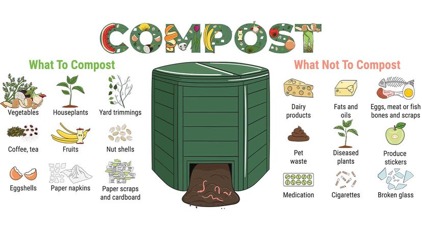 An illustration of what items you can and cannot compost.