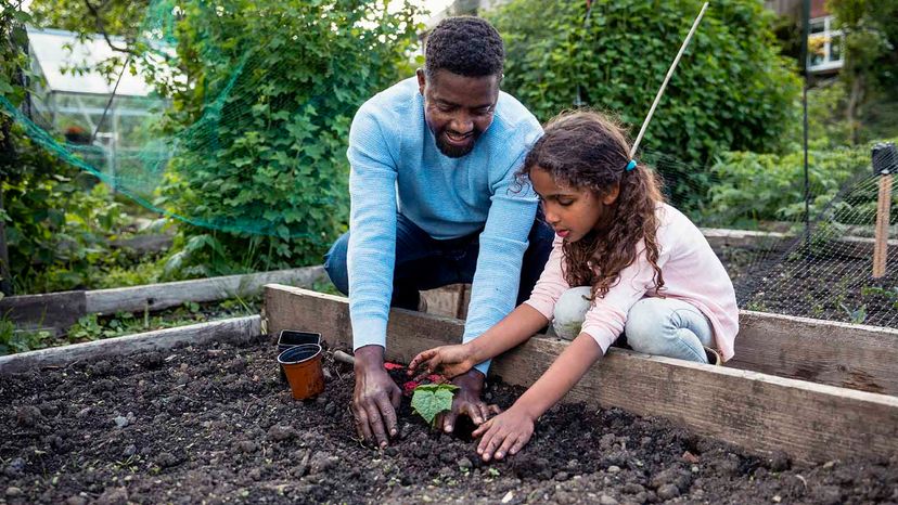 A man and young girl plant something in a garden box.