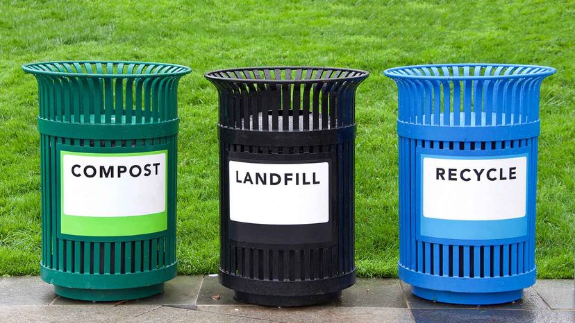 From left to right, a green compost bin, a black bin labelled "landfill" and a blue recycling bin.