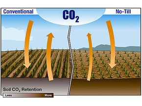 耕作可以使土壤中的二氧化碳逸出。＂border=