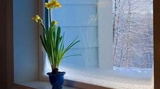 Conserve Energy with Plastic Window Insulation