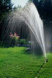 sprinkler in a lawn