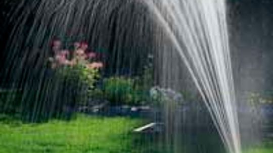How to Conserve Water While Still Keeping a Beautiful Garden